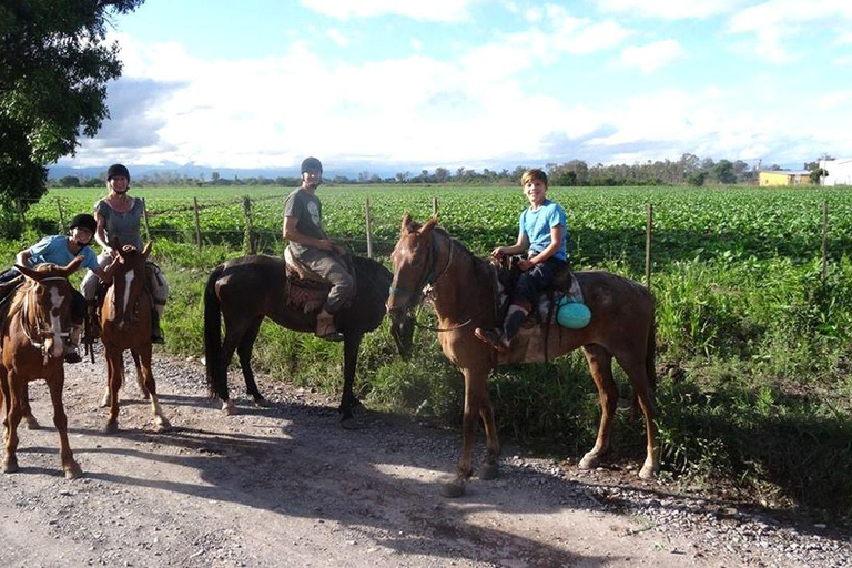 Salta: Full-Day Horseback Ride with BBQ and Snacks Salta: Full-Day Horseback Ride with Mountain Picnic