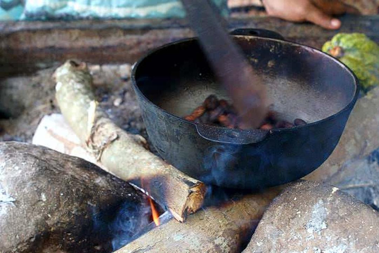 Indigenous Cacao Tour in Bocas del Toro
