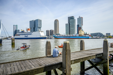 Rotterdam: PRIVATE Highlight & Hidden Gems Walk With Local
