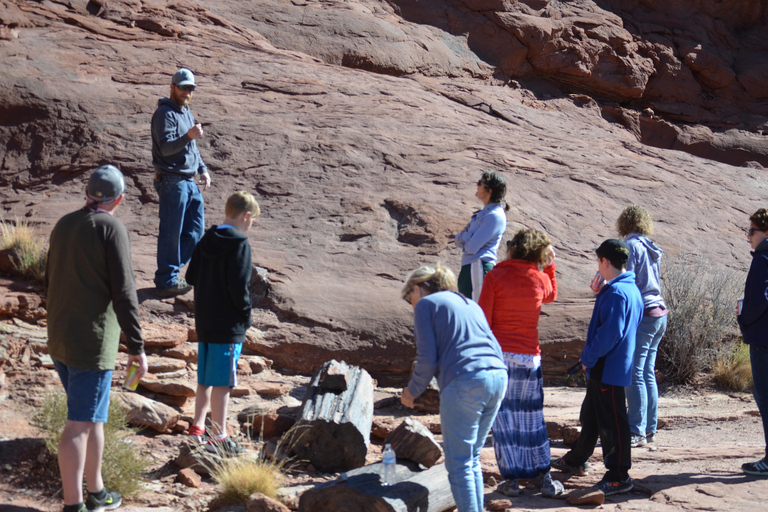 Moab: Meander Canyon Scenic Jet Boat Tour