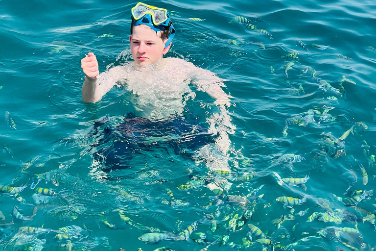 Dubai To Khasab Dhow Cruise with Snorkeling and Lunch