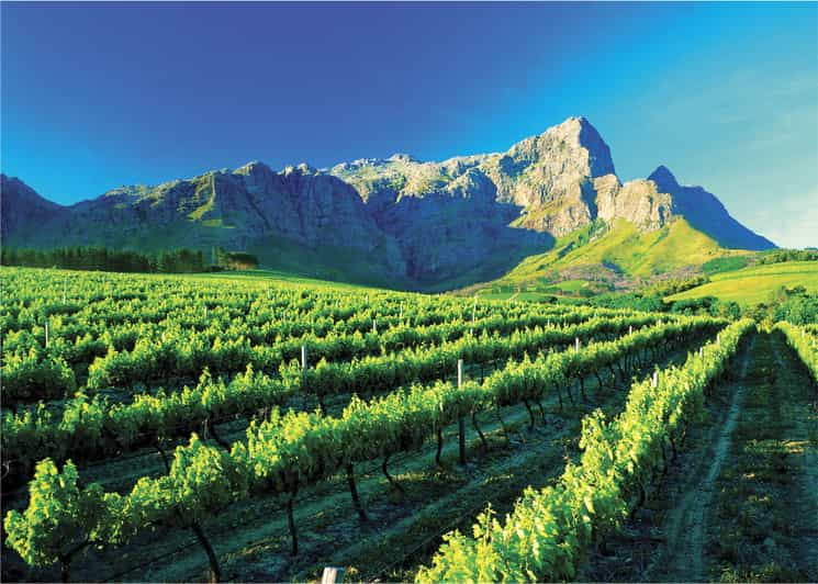 Cape Town Full-Day Winelands Tour | GetYourGuide