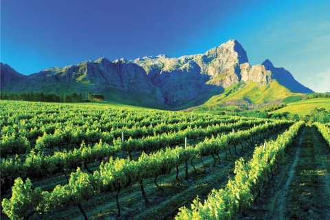 Kapstadt: Ganztägige Winelands-TourAb Kapstadt: Tagestour Winelands auf Englisch und Deutsch
