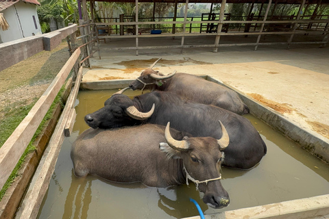 Luang Prabang: excursión a una granja y aventura con bufé de búfalo