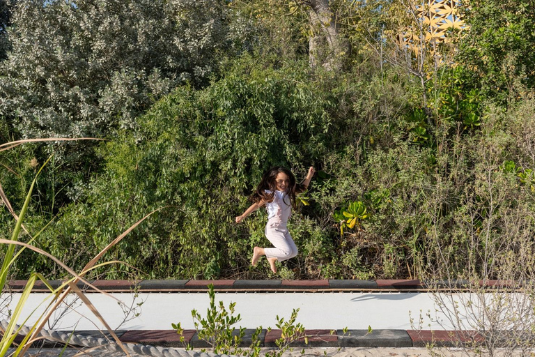 Sharjah: Al Noor Island en Vlinderhuis Toegangsbewijs