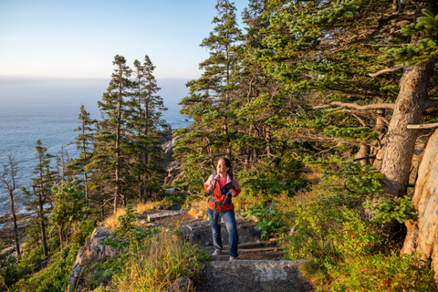 Bar Harbor: tour del parco nazionale di Acadia con rotolo di aragosta