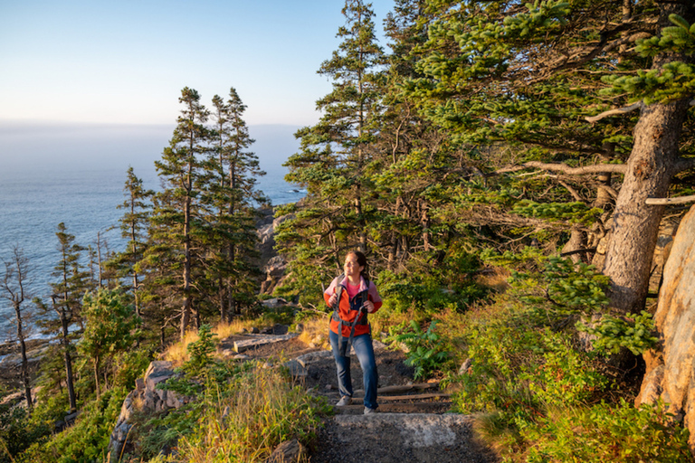 Bar Harbor: tour del parco nazionale di Acadia con rotolo di aragosta