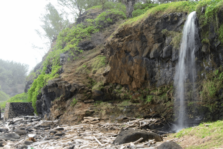 Mauritius: Tour privato delle Mauritius meridionali con le tartarughe