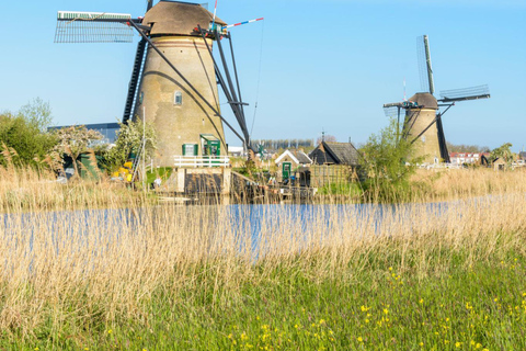 Amsterdam: Kinderdijk, Rotterdam, & Delft or The Hague Tour