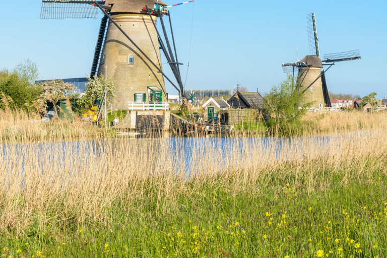Amsterdam: Kinderdijk, Rotterdam, & Delft or The Hague Tour