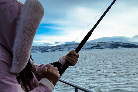 Tromsø:Arktische Fischerei & Meeresfrüchte Fjordkreuzfahrt auf LuxusyachtTromsø: Luxuriöse Kreuzfahrt zum Fischen und für Meeresfrüchte