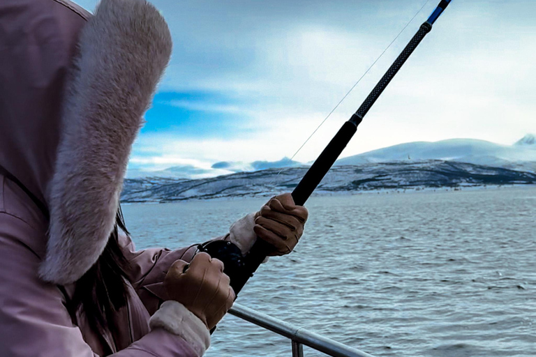 Tromsø:Arktische Fischerei & Meeresfrüchte Fjordkreuzfahrt auf LuxusyachtTromsø: Luxuriöse Kreuzfahrt zum Fischen und für Meeresfrüchte