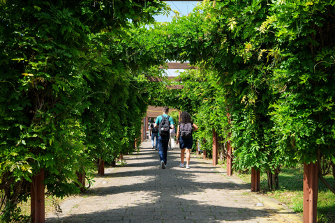 Discover Herculaneum: Guided tour in English of the ancient Roman city Guided tour in English with return train ticket from Naples