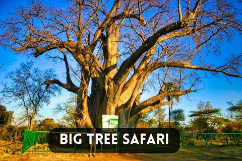 Wodospady Wiktorii: Safari 4x4 Baobab w Parku Narodowym
