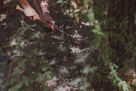 Tuscany: Volterra Truffle Hunting