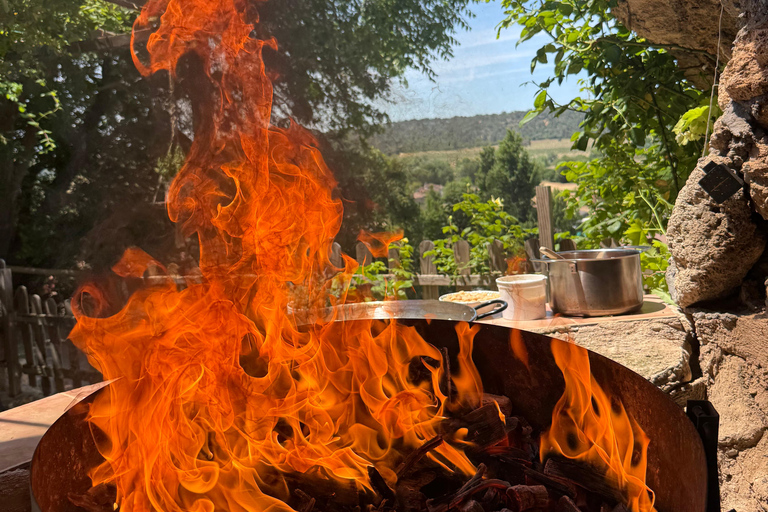 From Madrid: Cooking Class by a Castle in the Olive Groves