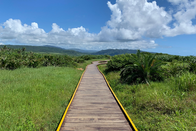 Vanuit Kaohsiung: Kenting &amp; Oceaankust privé dagtour