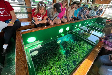 Desde Orlando: Parque Silver Springs y tour en barco con fondo de cristal