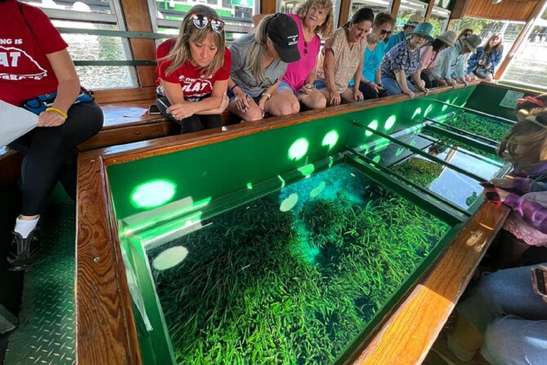 Von Orlando aus: Silver Springs Park und Glass Bottom Boat Tour