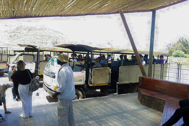 Ciudad del Cabo: Safari privado por la Reserva de Aquila con almuerzo en bodega