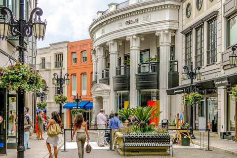 Los Angeles: City Highlights Tour with Guide Live Tour