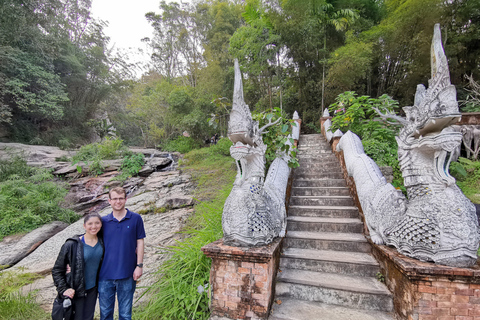 Chiang Mai: Tempel, natuur en cultuur in één dag.Olifantenopvang en Doi Suthep Tour.