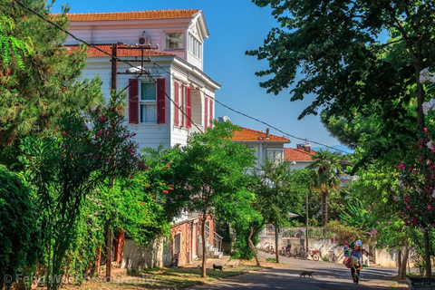 Istanbul: Princess Islands Day Trip w Hotel Transfer & Lunch Princess Islands / Transfer & Lunch