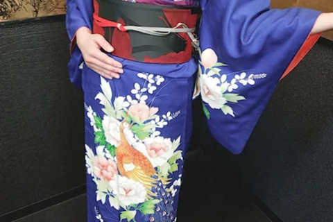 Kanazawa: Kimono Dressing & City Stroll Experience Ticket | Yukata Experience Course