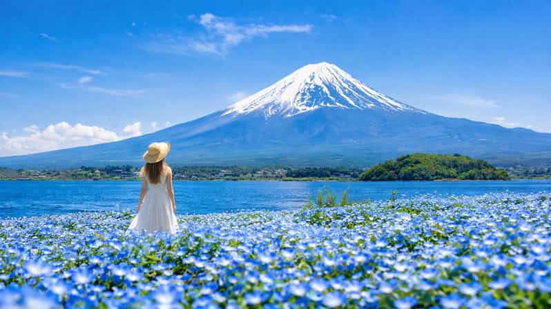 Mt Fuji 6 Spots: Arakurayama, Lake Kawaguchi Highlights Trip