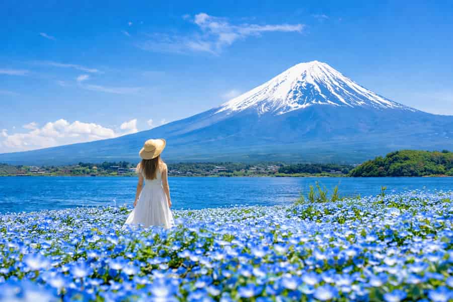 6 Sehenswürdigkeiten am Fuji: Arakurayama, Kawaguchi-See – Highlight-Tour. Foto: GetYourGuide