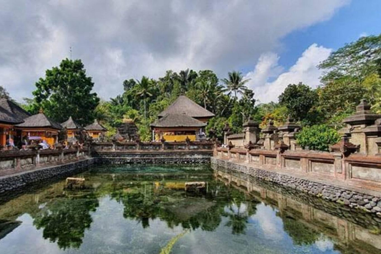 Ubud, Monkey forest, Riceterace Waterfall, Purification Ubud Tour Include Enterance Tickets