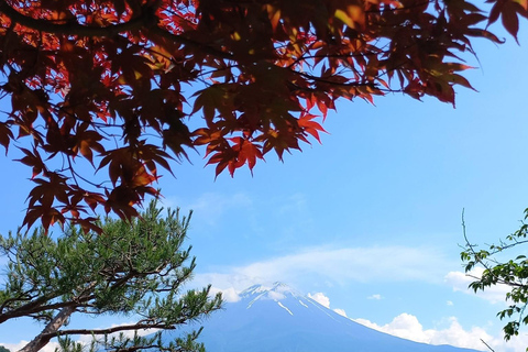 Tóquio: Monte Fuji: melhor passeio turístico Tour particular com guiaMercedes benz de luxo para 3 pessoas