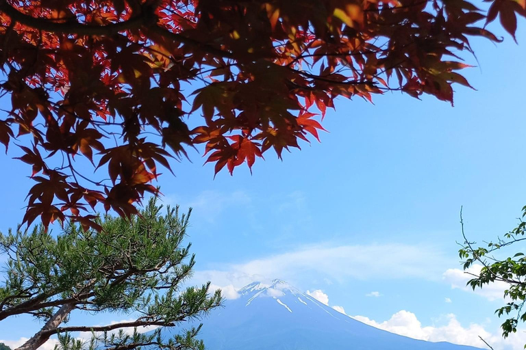 Tóquio: Monte Fuji: melhor passeio turístico Tour particular com guiaMercedes benz de luxo para 3 pessoas