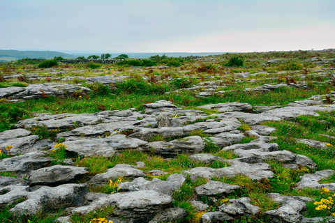 Cliffs of Moher en Blarney 2-daagse tour vanuit DublinBackpacker-optie