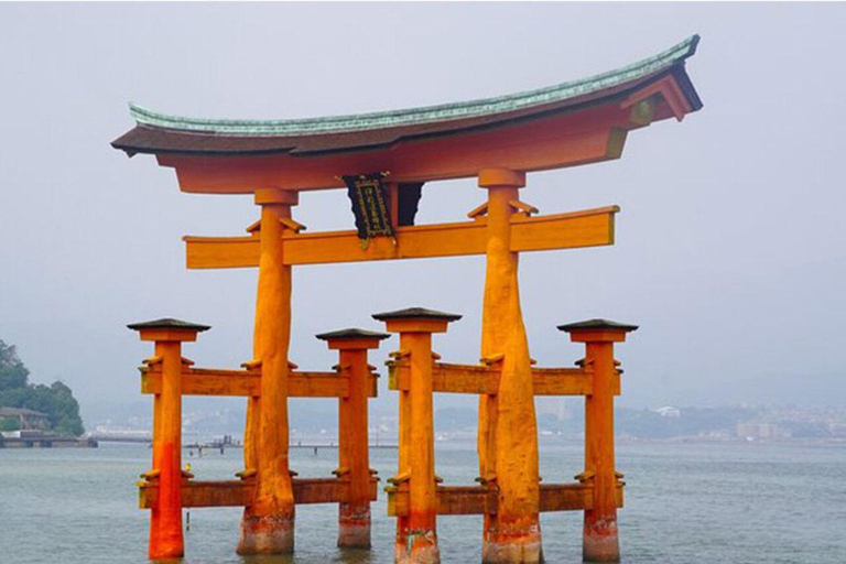 Kyoto/Osaka : excursion d&#039;une journée sur les sites historiques de Kyoto et de Nara