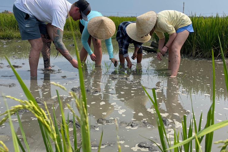 Ontdek het platteland van Hoi An