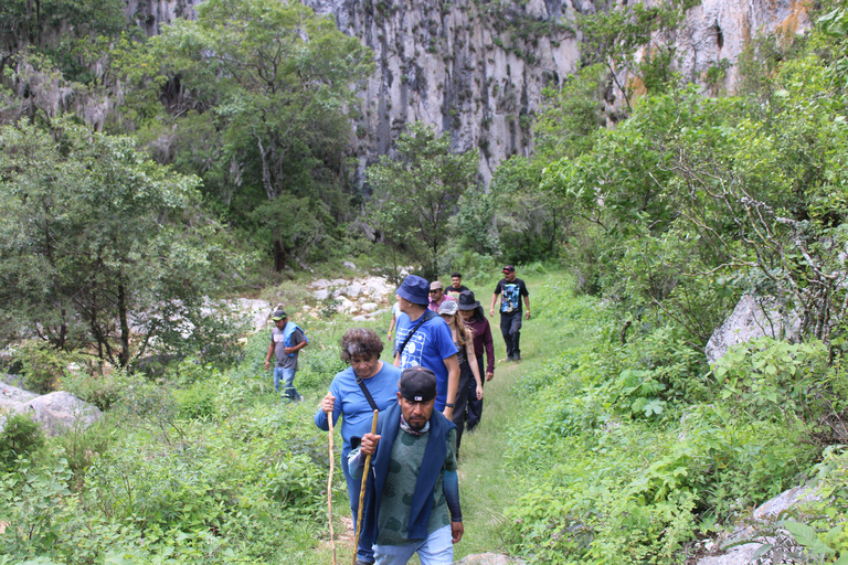 From Oaxaca: Trekking to the Santiago Apoala Waterfalls
