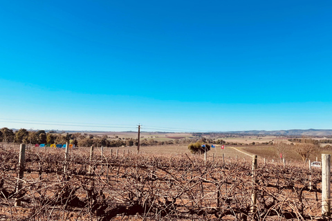 Adélaïde : Excursion dans la vallée de la Barossa pour découvrir le gin et le vin