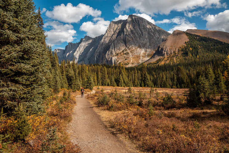 Canmore: 3 Hour Local Explorer Tour and Hike with a Guide