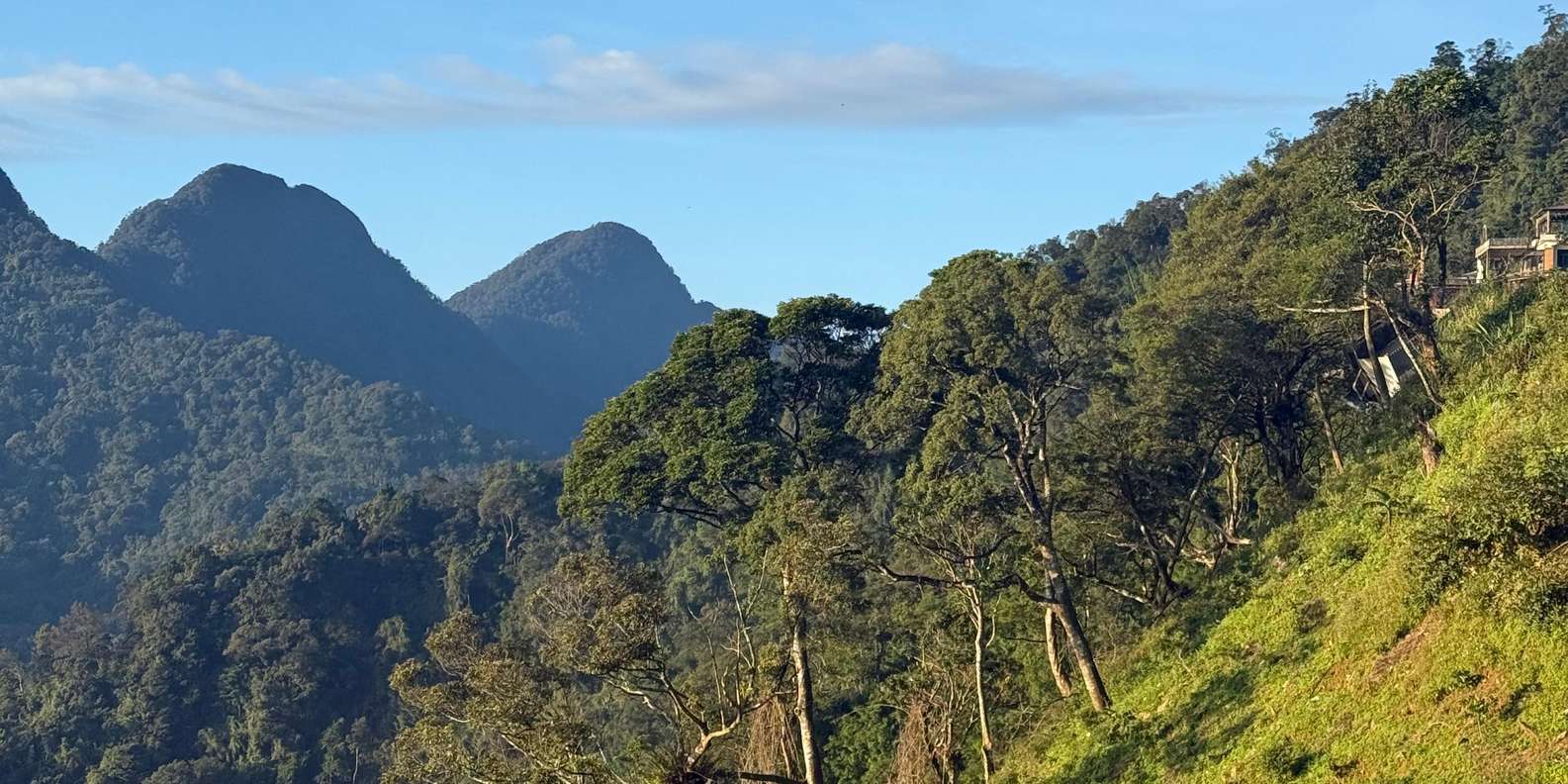 Tam Dao privat dagsomvisning med tåkete fjell og utsikt over skyene |  GetYourGuide, image size:1585x792