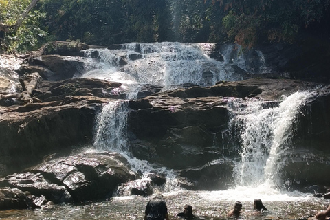 Sinharaja-Regenwald: Tour mit Wanderung zu 5 Wasserfällen