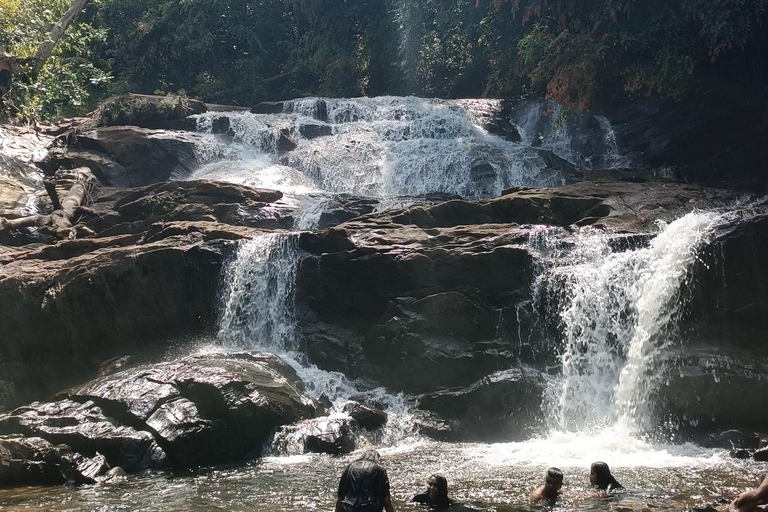 Sinharaja-Regenwald: Tour mit Wanderung zu 5 Wasserfällen