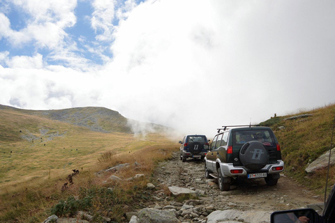 Jeep Safary Pelister, d'Ohrid.