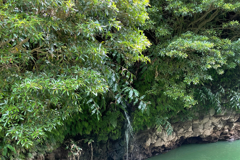 Découvrez et randonnez à São Miguel avec Rúben