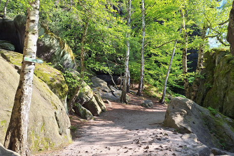 Dresden - Saxon Switzerland: Hiking Trip with a Certified Guide Dresden - Saxon Switzerland: Hiking Tour with a Certified Guide
