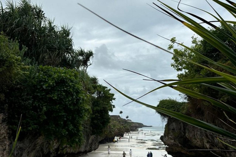 Zanzibar: Floresta de Jozani, centro de borboletas e praia de MtendeTour particular com traslado de ida e volta no hotel incluído