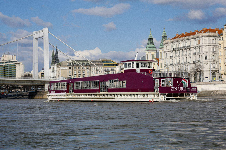 Budapest: Crucero turístico nocturno o diurnoCrucero turístico desde el lado Buda del río