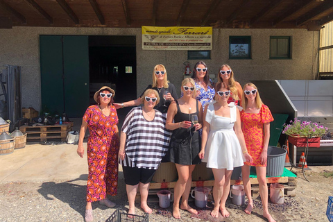 Spring Time Vineyards Milan’s Perfect Wine Tasting & Lunch