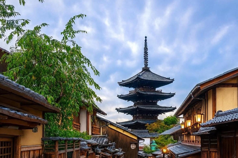 Kyoto/Osaka: Kyoto and Nara Customized Private Guided Tour