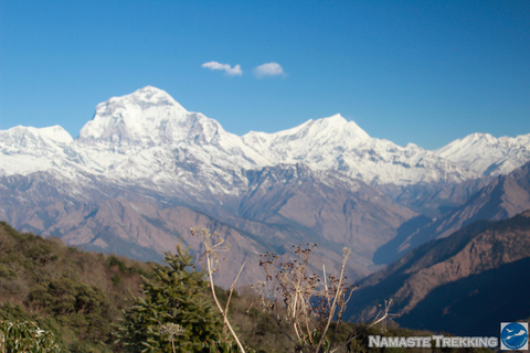 Da Kathmandu: trekking del Circuito dell&#039;Annapurna di 10 giorni